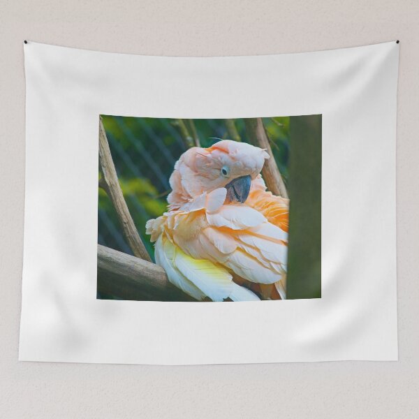 Item preview, Colourful Parrot designed and sold by ejrphotography.