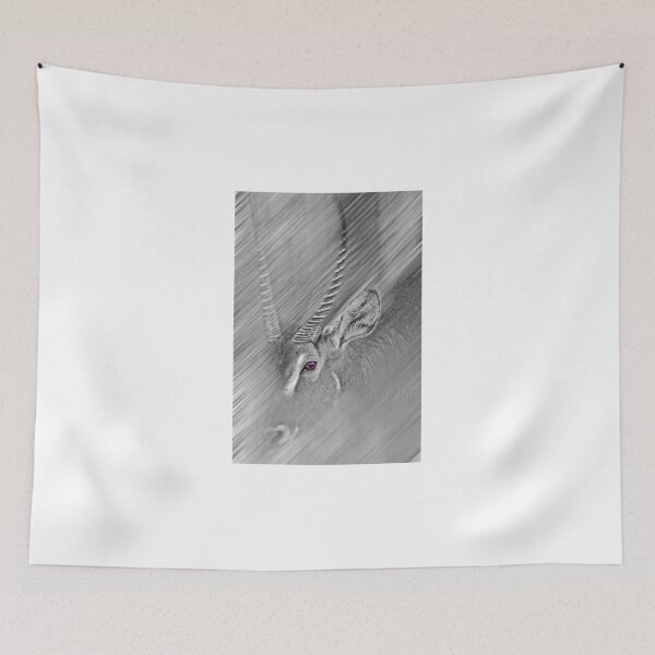 Item preview, Waterbuck designed and sold by miroslava.