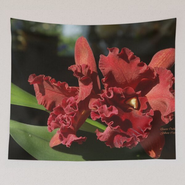 Item preview, Queen Orchid - Thailand designed and sold by Gilberte.
