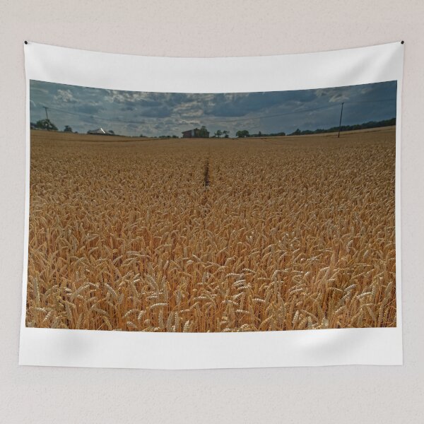 Item preview, Mellow fruitfulness? designed and sold by Mark Bangert.