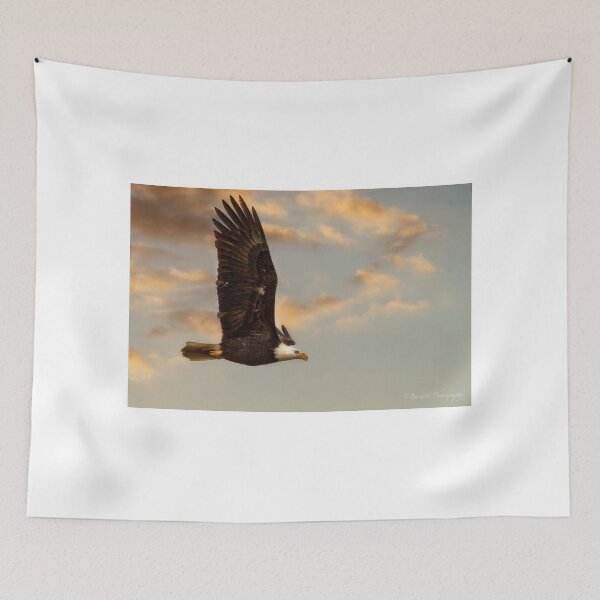 Item preview, Soar designed and sold by TeresaB.