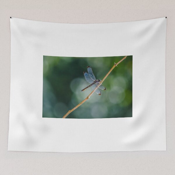 Item preview, DragonFly designed and sold by ctellis156.