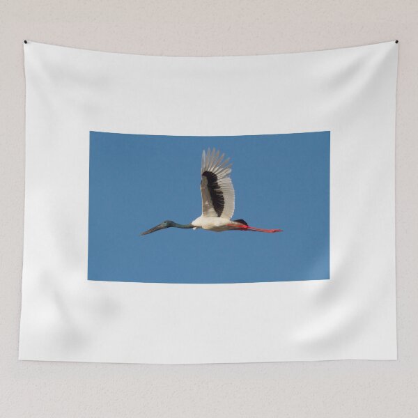 Item preview, Jabiru Arrow designed and sold by byronbackyard.