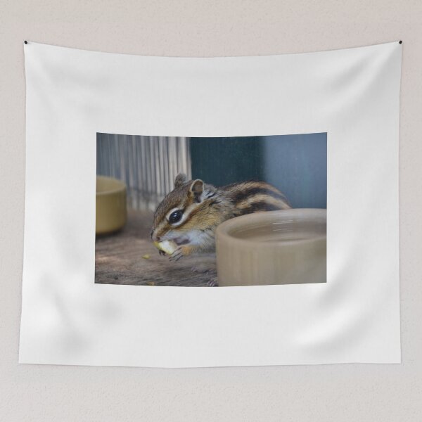 Item preview, Chipmunk , Chard Somerset UK designed and sold by lynn carter.
