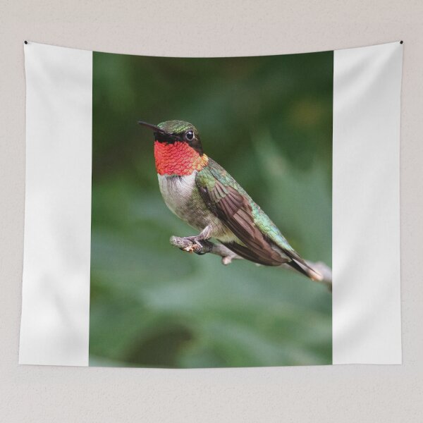 Item preview, Ruby Throated Hummingbird designed and sold by WorldDesign.