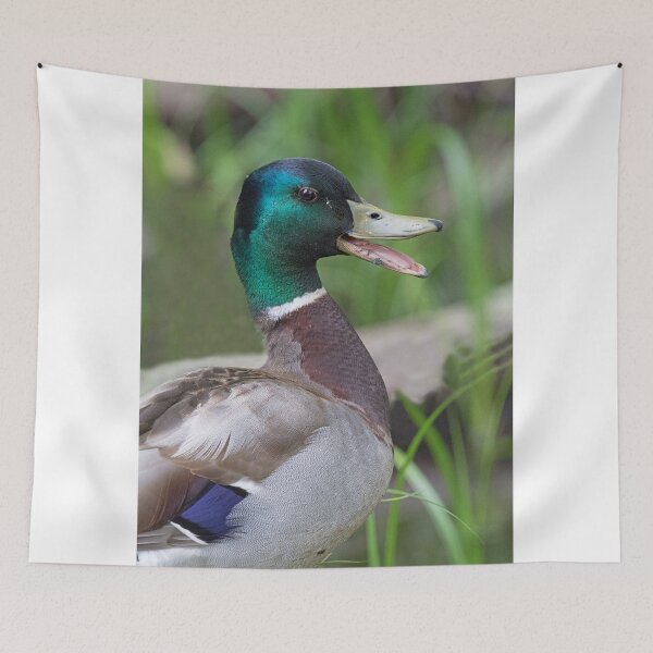 Item preview, Mallard Duck Talking designed and sold by WorldDesign.