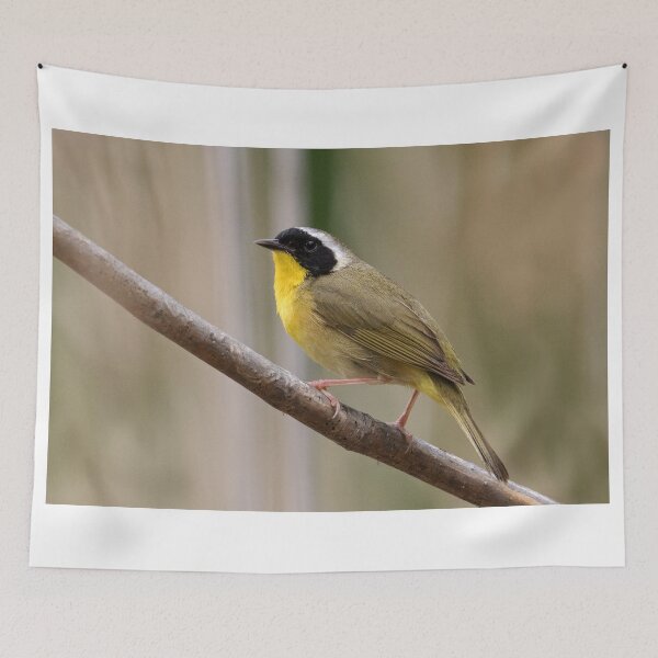 Item preview, Common Yellowthroat Warbler designed and sold by WorldDesign.