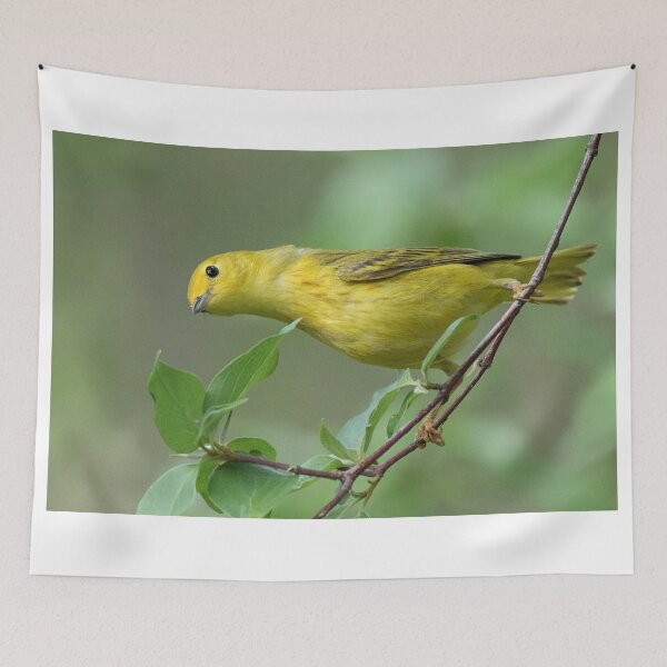 Item preview, Female Yellow Warbler designed and sold by WorldDesign.