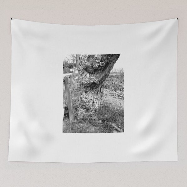 Item preview, Trunk designed and sold by Giuseppe Cocco.