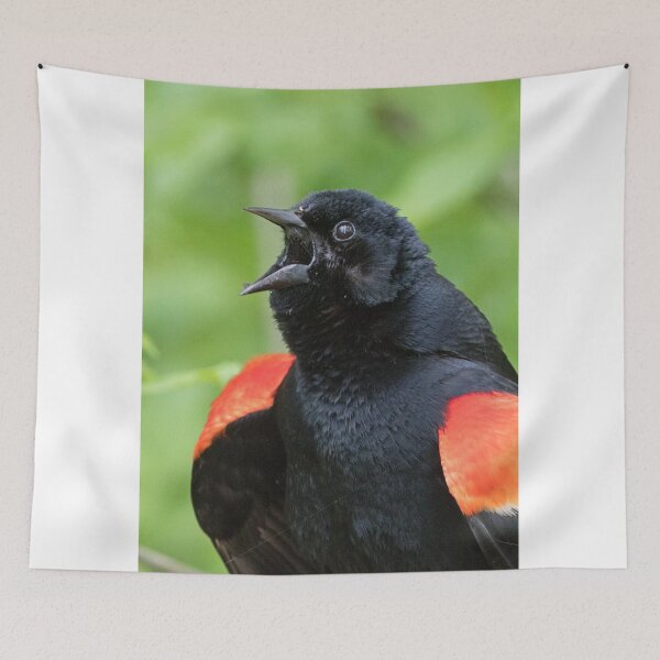 Item preview, Red-Winged Black Bird Singing designed and sold by WorldDesign.