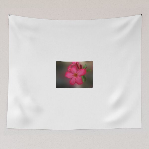 Item preview, Adenium Flower designed and sold by Charuhas  Images.