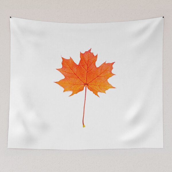 Item preview, Red maple leaf designed and sold by Sasas Photography.