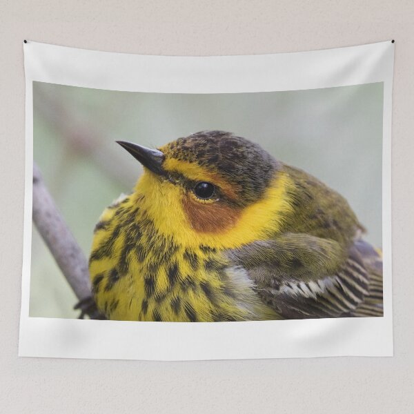 Item preview, Cape May Warbler designed and sold by WorldDesign.
