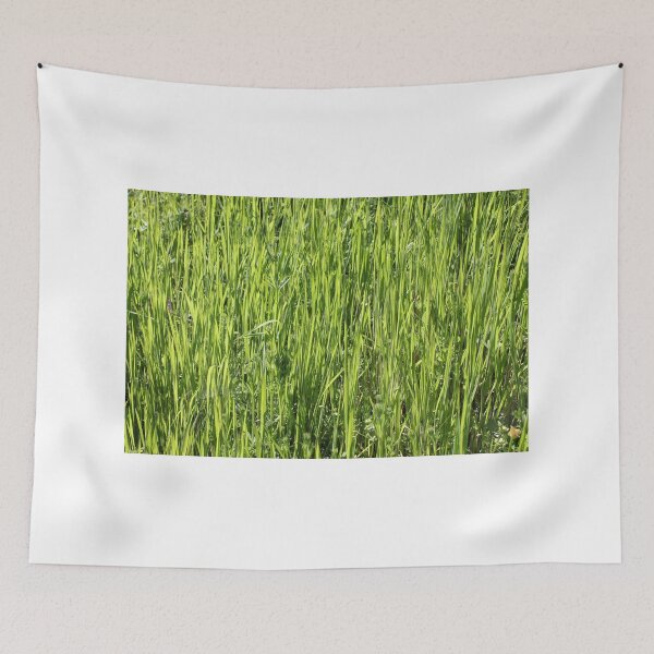 Item preview, Green grass on a summer field designed and sold by Bruno Beach.