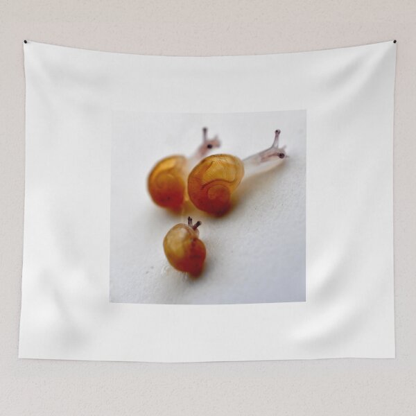 Item preview, just hatched designed and sold by suzydoodle.