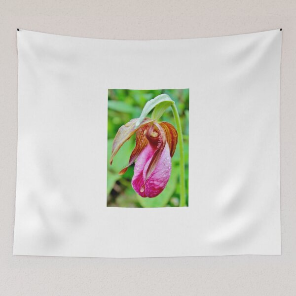 Item preview, Pink Lady's Slipper II designed and sold by Kathleen Daley.
