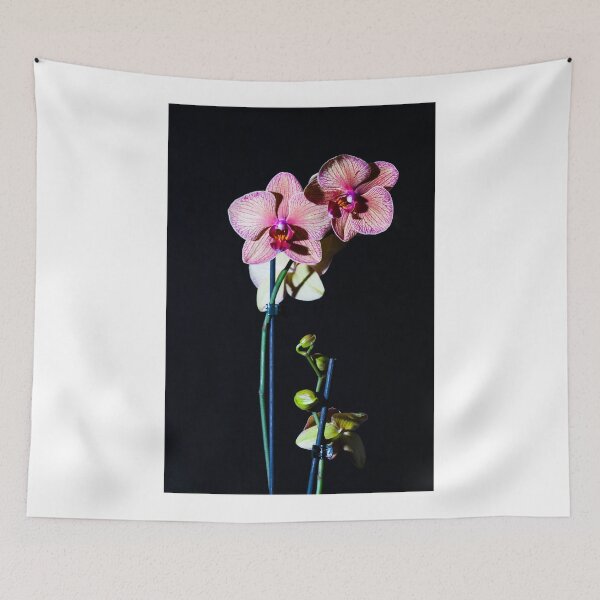 Item preview, Orchids 2 designed and sold by colinstock.