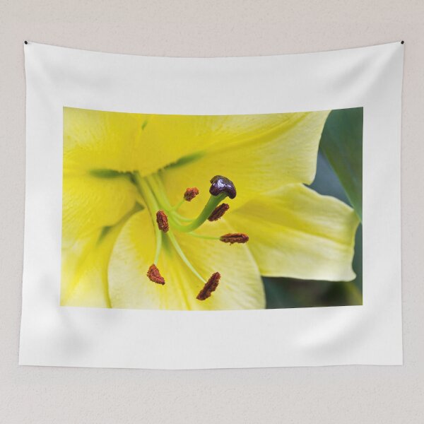 Item preview, Lemony Lily designed and sold by Dorset Girl.