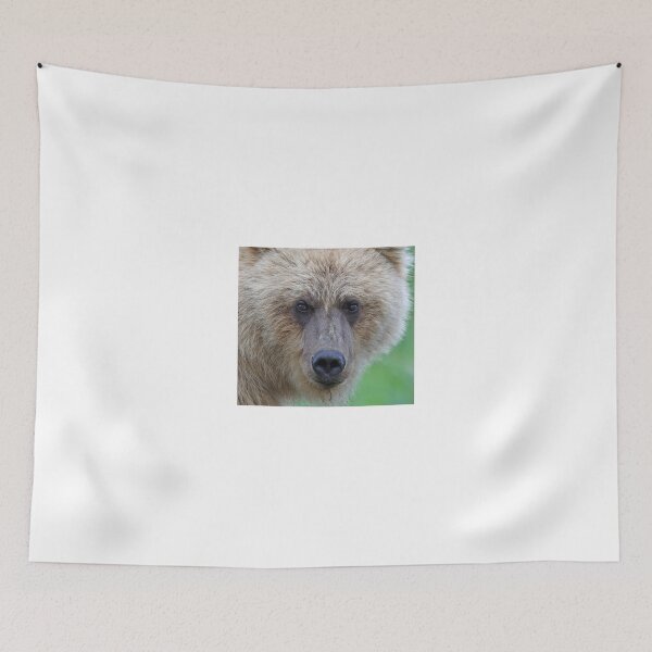 Item preview, Grizzly up close!! designed and sold by Anthony Goldman.