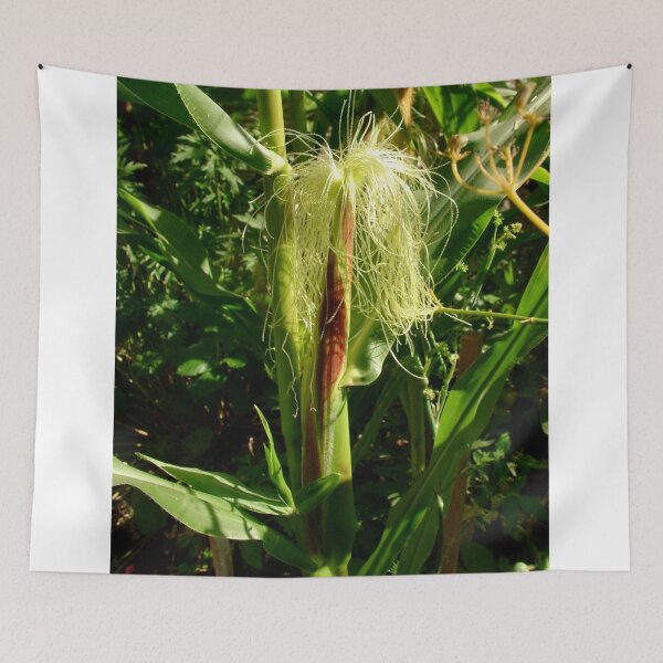 Item preview, Corn Growing in the Field designed and sold by AnnDixon.