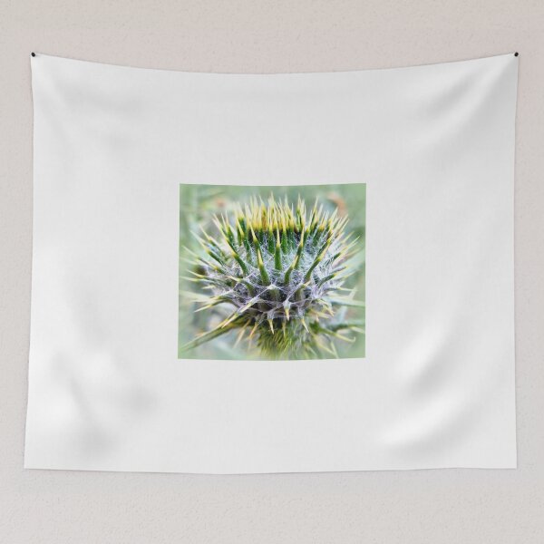 Item preview, young thistle designed and sold by angel1.