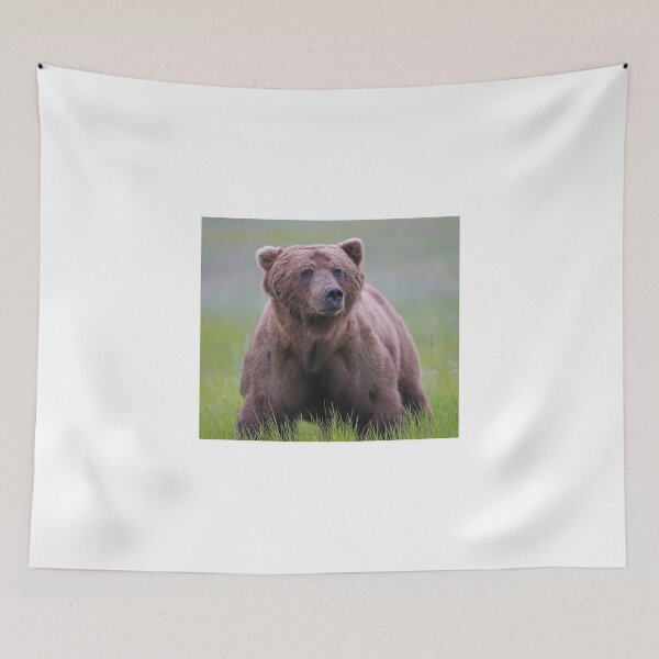 Item preview, A Big Brown Bear!! designed and sold by Anthony Goldman.