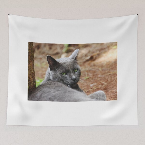 Item preview, Portrait of a gray cat designed and sold by VikaL.