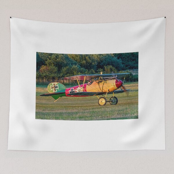 Item preview, TVAL Albatros D.Va reproduction ZK-TGY lifts her tail designed and sold by Colin Smedley.
