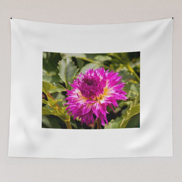 Item preview, Dahlia In Bloom 10 designed and sold by JoeGeraci.