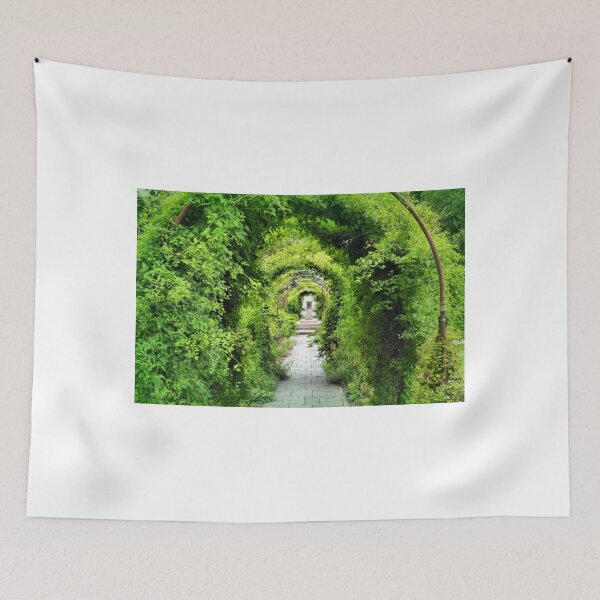 Item preview, Enter the Canopy designed and sold by Brian Gaynor.