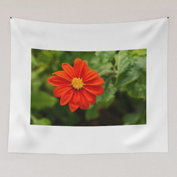 Item preview, Dahlia In Bloom 13 designed and sold by JoeGeraci.
