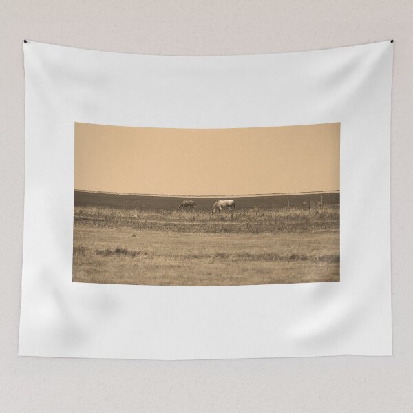 Item preview, Adrian, Texas - Two Horses 2007 designed and sold by Frank Romeo.