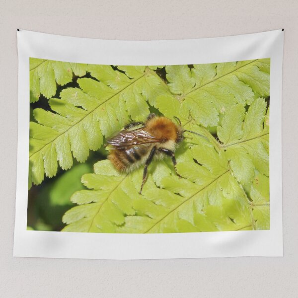 Item preview, Fern & Bee designed and sold by AnnDixon.