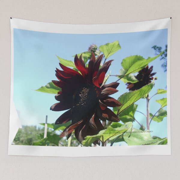 Aperçu de l'œuvre black sunflowers 2015 créée et vendue par Maureen Zaharie.