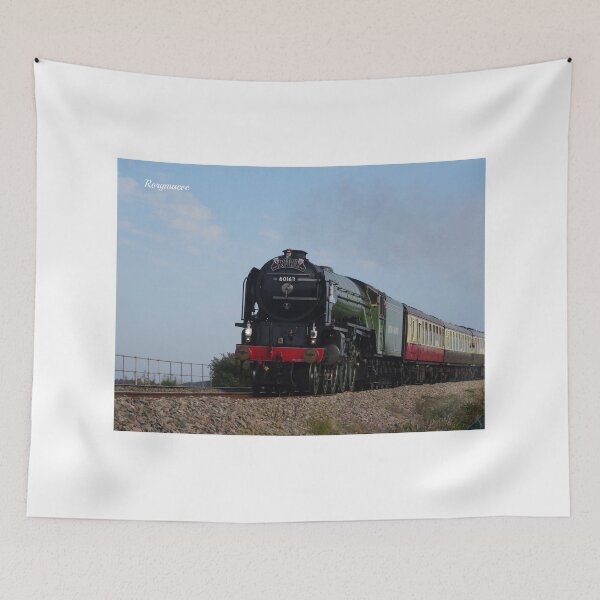 Item preview, LNER 60163 'Tornado' at Cockwood designed and sold by Rorymacve.
