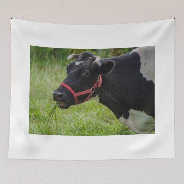 Item preview, Morning Grazing  designed and sold by Rrea Brown Photography.