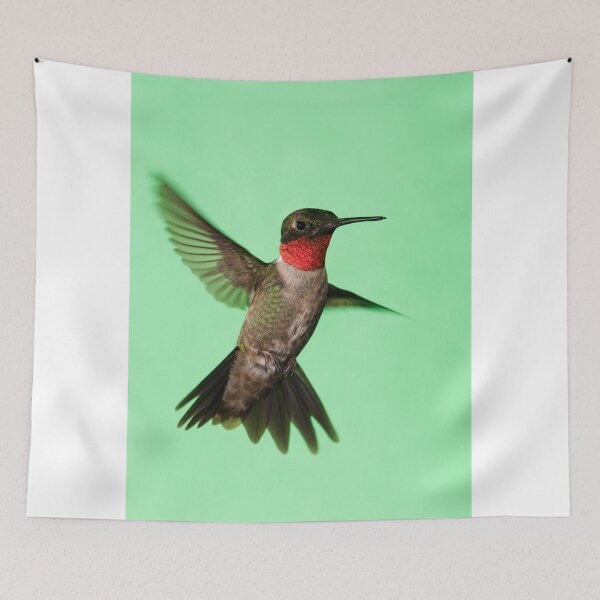 Item preview, Ruby Throated Hummingbird designed and sold by WorldDesign.