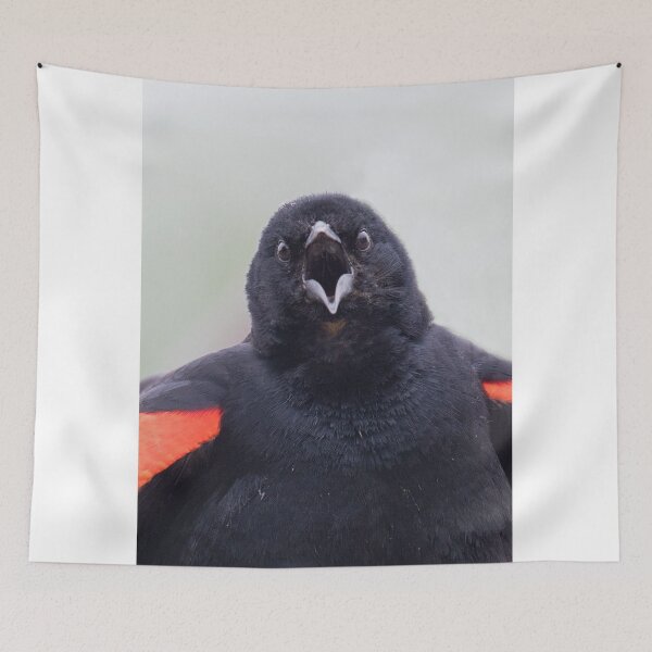 Item preview, Red-Winged Black Bird Singing designed and sold by WorldDesign.