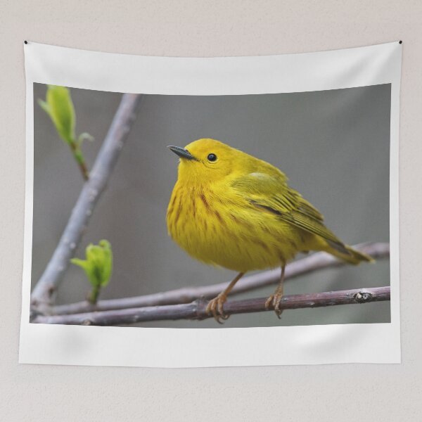 Item preview, Yellow Warbler designed and sold by WorldDesign.