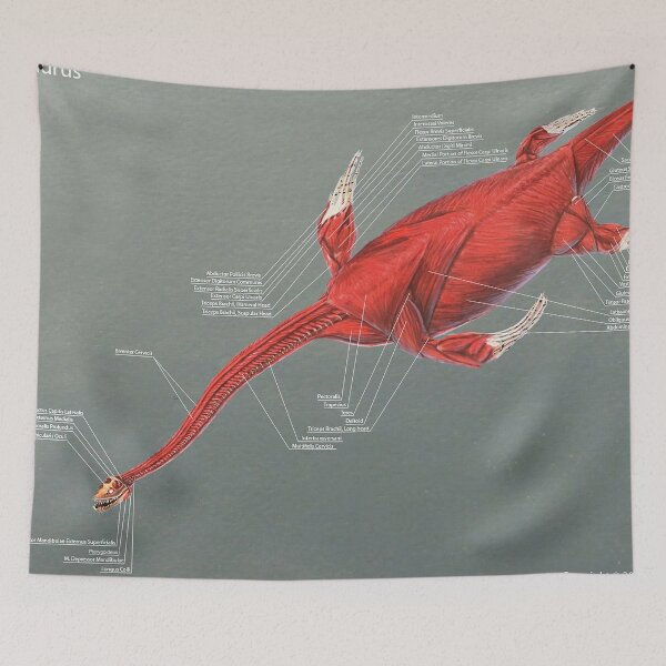 Item preview, Elasmosaurus Muscle Study designed and sold by Thedragonofdoom.