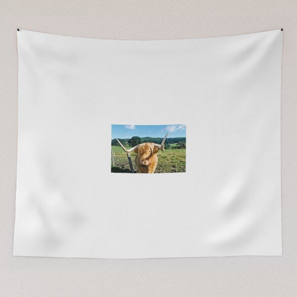 Item preview, Scottish Highland cow designed and sold by Photogold Photo Gifts.