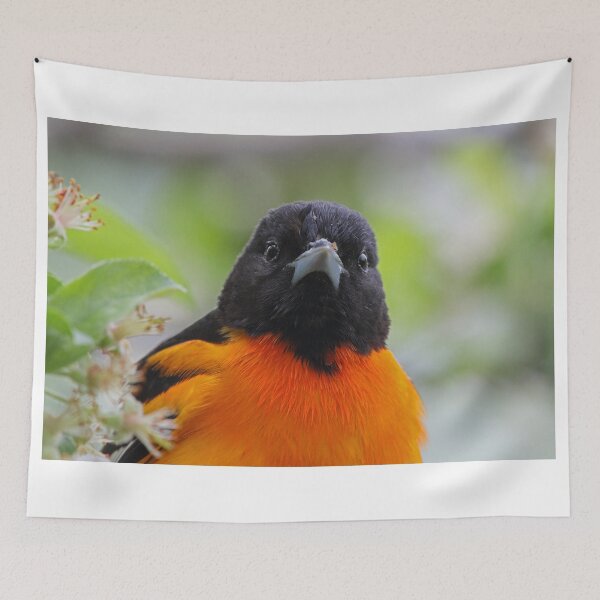Item preview, Baltimore Oriole & Apple Blossums designed and sold by WorldDesign.