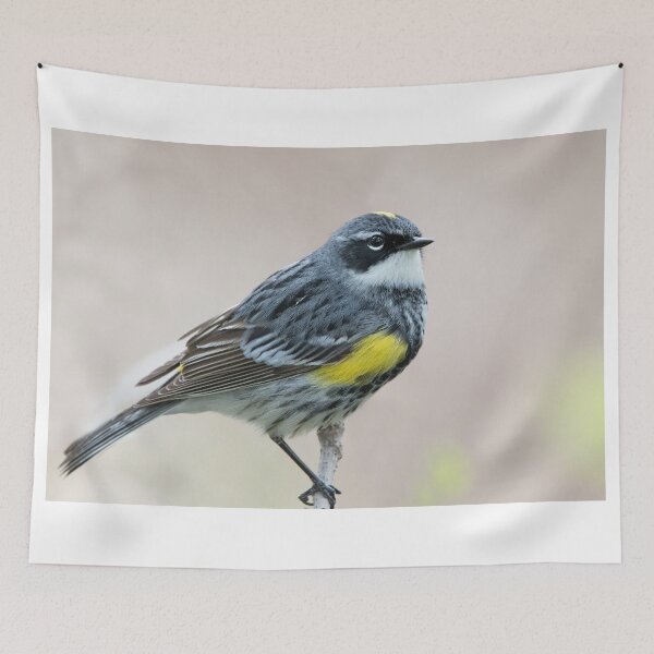 Item preview, Yellow-rumped Warbler designed and sold by WorldDesign.
