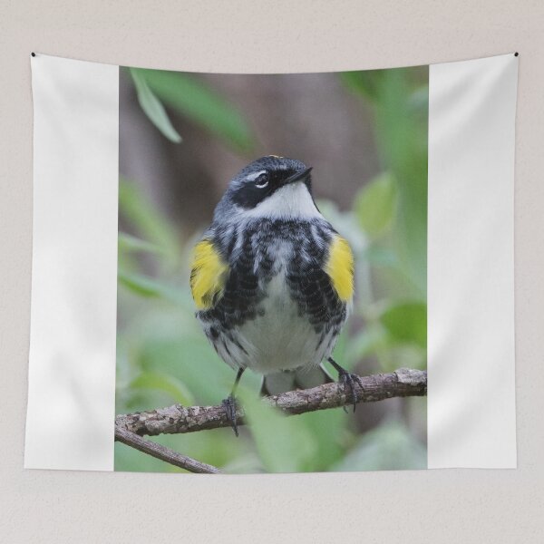 Item preview, Yellow-rumped Warbler designed and sold by WorldDesign.