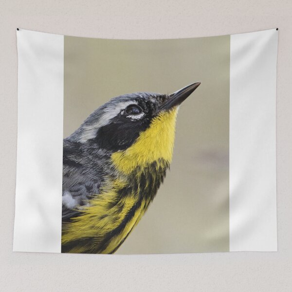 Item preview, Magnolia Warbler in Breeding Colors designed and sold by WorldDesign.