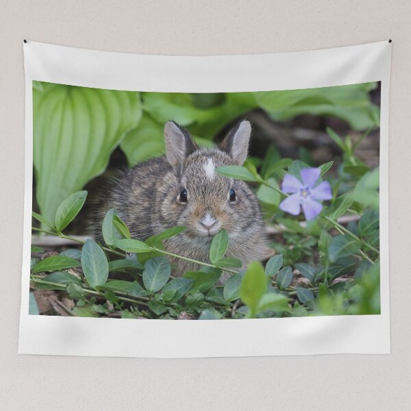 Tapestry