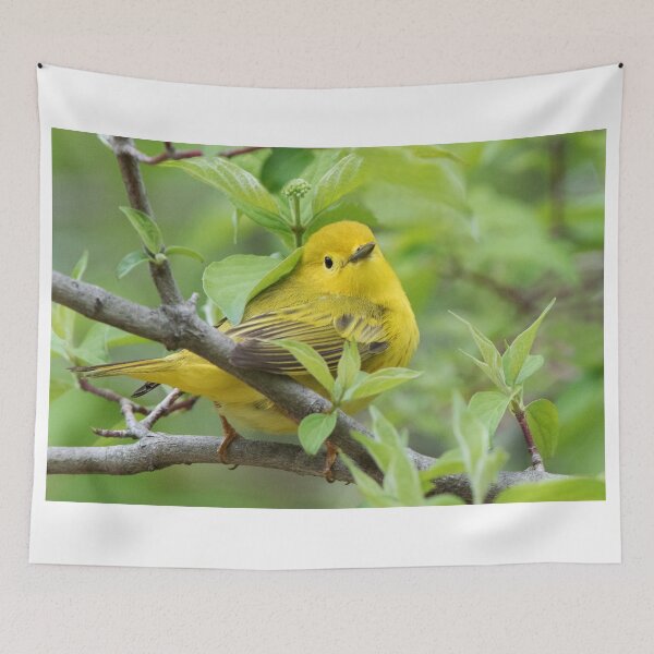 Item preview, Yellow Warbler designed and sold by WorldDesign.
