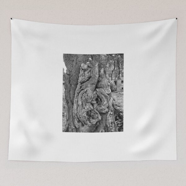 Item preview, Trunk designed and sold by Giuseppe Cocco.
