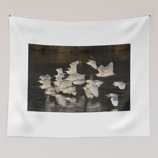 Item preview, To Roost They Go designed and sold by byronbackyard.