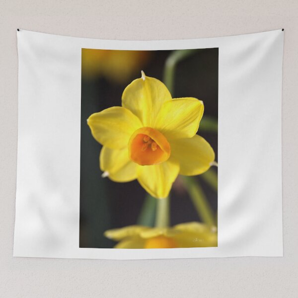 Item preview, Yellows of Jonquils designed and sold by Joy Watson - Natural Light Photography .